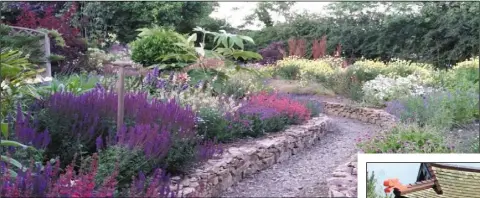  ??  ?? A wonderful, wending walkway at Kilmurry Gardens.