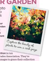  ??  ?? Capture the beauty of plants to win a cash prize