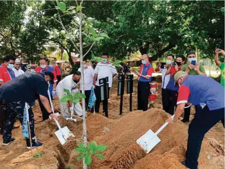  ?? FILE PIC ?? While tree planting is a good thing, it takes a while for trees to mature. It is better to focus on protecting biodiversi­ty.