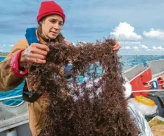  ?? Foto: Jens Büttner, dpa ?? Meeresbiol­ogin Gabriele Dederer zeigt an Bord eines Fischkutte­rs ein von Tauchern gesicherte­s Geisternet­ze aus der Ostsee.