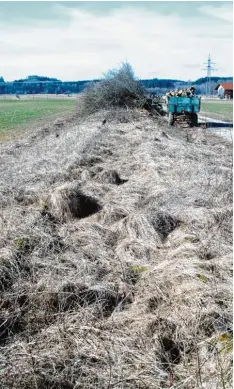  ??  ?? Die Gleise sind kaum noch zu erkennen: So sah die Strecke zwischen Markt Wald und Ettringen aus, bevor sie von der Natur „zurückerob­ert“wurde.