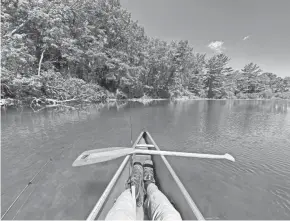  ?? PAUL A. SMITH ?? A view from a canoe at the undevelope­d shoreline on a walk-in access lake on state-owned land in southern Wisconsin.