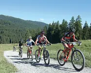  ??  ?? Fatica Atleti di mountain bike impegnati in gara