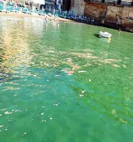  ??  ?? In acqua Chiazze di colore marrone sarebbero apparse nei giorni scorsi nelle acque di Posillipo. C’è chi pensa a scarichi fognari e chi a banchi di mucillagin­e