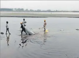  ?? HT FILE ?? Villagers taking out dead fish from the Beas near Amritsar after its water was contaminat­ed with molasses leaked from a sugar mill in Gurdaspur on May 17.