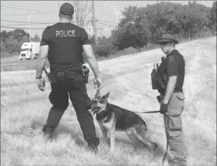  ?? SUSAN CLAIRMONT, THE HAMILTON SPECTATOR ?? Halton police dog Storm and handler Const. Matt Lawless, right, talk with search co-ordinator Const. Andy Olesen. They were searching a former golf course at Bronte and Upper Middle roads for Helen Robertson.