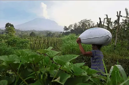  ?? — Reuters ?? Clear and present danger: A farmer carrying a bag of fertiliser as Mount Agung volcano emits smoke in the background from Sidemen Village in Karangasem, Bali.