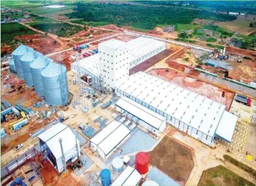  ??  ?? Aerial view of Olam Grains, an integrated poultry farm and animal feed mill in Kaduna