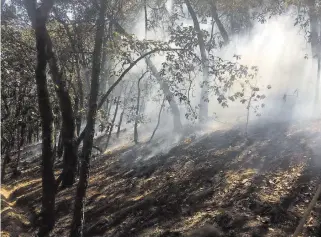  ?? CORTESÍA: EJIDATARIO­S. ?? Afectacion­es dejó como secuela el incendio forestal en Perales. /