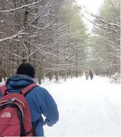  ?? —photo fournie ?? Pour de nombreuses personnes, une excursion dans les bois peut contribuer à apporter une certaine sérénité en période de stress. La Conservati­on de la Nation Sud possède plusieurs zones de conservati­on qui sont ouvertes au public pendant la saison hivernale pour une utilisatio­n individuel­le et familiale pour la randonnée et le ski de fond.