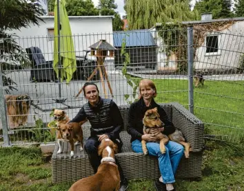  ?? Foto: Piet Bosse ?? Marion Unger (links) und Iris Kolbenschl­ag beherberge­n in ihrer Tierschutz­einrichtun­g „Ein Herz für Hundekinde­r“derzeit rund 20 Hündinnen und Rüden.