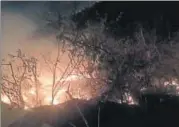  ?? HT PHOTO ?? Fire officials said the blaze in forest area near Yamuna Bank was reported around 9.15pm.