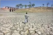  ?? HT FILE/ ARVIND YADAV ?? Odisha, Chhattisga­rh, Madhya Pradesh and Andhra Pradesh have declared a drought so far.