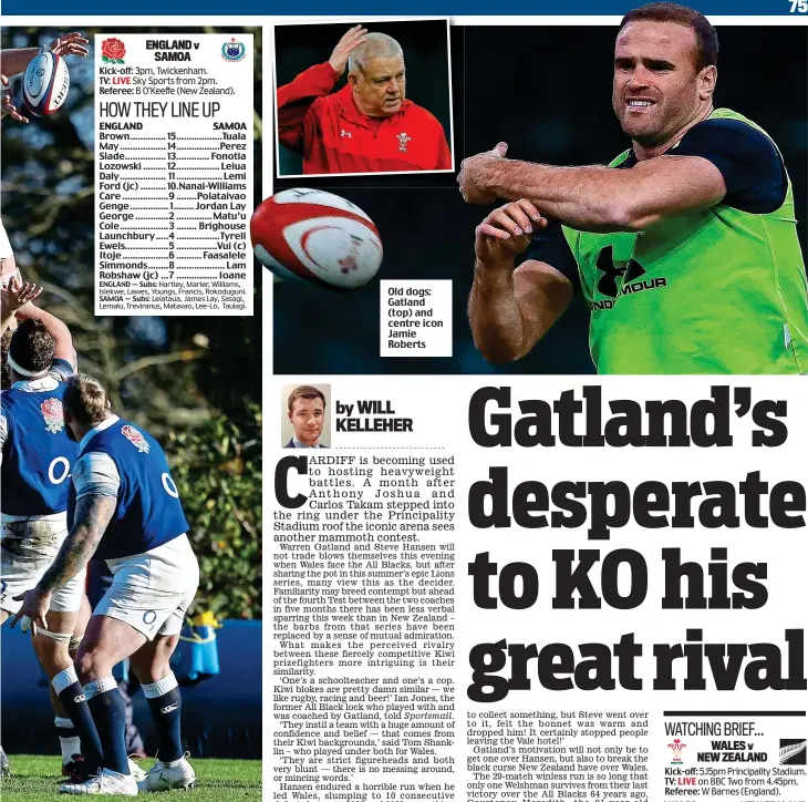  ??  ?? Old dogs: Gatland (top) and centre icon Jamie Roberts
