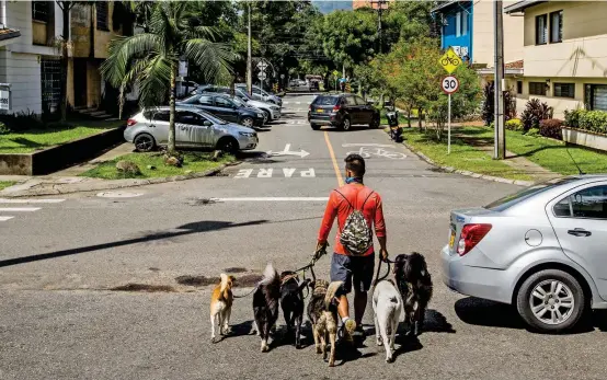  ?? FOTO ?? En las calles de Patio Bonito es común ver paseadores de perros. El sector limita con los parques de La Bailarina y La Presidenta, así como con los barrios La Aguacatala y Astorga. Es referente de la zona por el aumento de restaurant­es y locales.