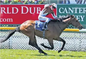  ?? PHOTO: RACE IMAGES ?? Hot form . . . Casaquinma­n and rider Dylan Turner will seek more success at Riccarton racecourse tomorrow.