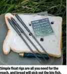  ??  ?? Simple float rigs are all you need for the roach, and bread will pick out the big fish.