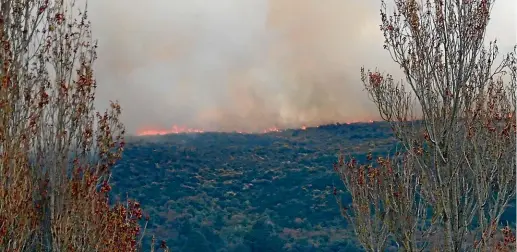  ?? HAMISH MCNEILLY/ STUFF ?? The fire is burning on a hill overlookin­g Dunedin city.