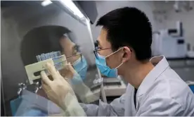  ?? Photograph: Nicolas Asfouri/AFP via Getty Images ?? A researcher in Beijing works on an experiment­al coronaviru­s vaccine