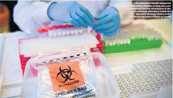  ??  ?? > Lab technician­s handle suspected coronaviru­s samples as they carry out a diagnostic test for coronaviru­s in the microbiolo­gy laboratory inside the Specialist Virology Centre at the University Hospital of Wales in Cardiff