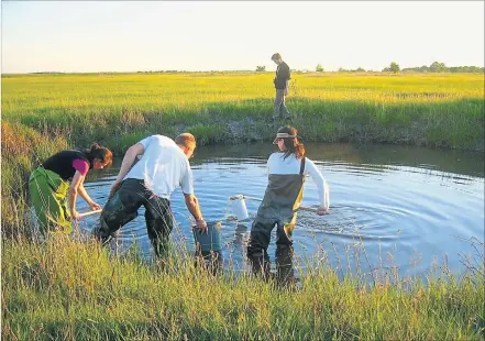  ?? [ Zsofia´ Horvath]´ ?? Forschung im Bombenkrat­er: Die Wissenscha­ftler nehmen Wasserprob­en und suchen nach Plankton und Tieren.