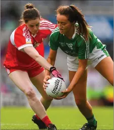  ??  ?? Mairéad Kavanagh of Limerick in action against Michelle McMahon.