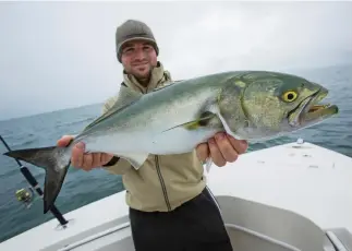  ??  ?? HELP WANTED: Dwindling bluefish population­s may finally get the help needed for stock recovery.