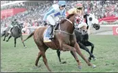  ??  ?? HOT TICKET (closest to camera) is tipped to win the Gold Cup at Greyville on Saturday.