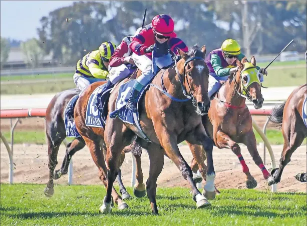  ?? Picture: Brendan McCarthy/Racing Photos ?? Breakthrou­gh: Sokkies ridden by Brooke Sweeney wins the HYGAIN Maiden Plate at Echuca on Saturday.