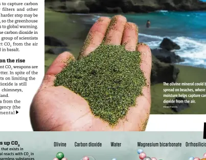  ?? PROJECT VESTA ?? The olivine mineral could be spread on beaches, where the moisture helps capture carbon dioxide from the air.
