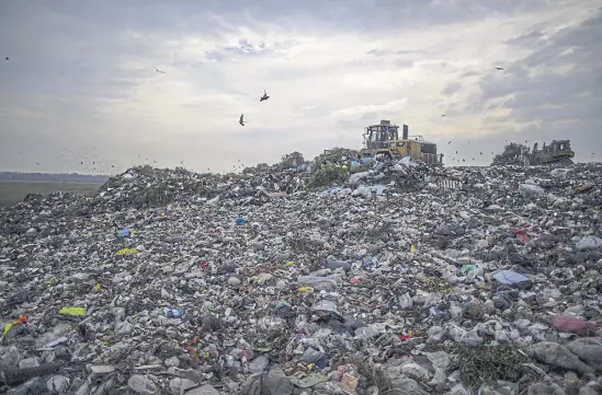  ?? AníbAl Greco ?? La basura se apila en tierras situadas cerca del camino del Buen Ayre, hasta donde llega el olor nauseabund­o