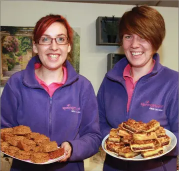  ??  ?? Grace Hamilton and Liagh Whelehan helping out at the coffee morning in Springmoun­t Garden Centre in aid of North Wexford Hospice Homecare Trust.