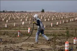  ?? GARY CORONADO/LOS ANGELES TIMES ?? A worker sets up irrigation lines to water almond tree rootstocks along Road 36 on April 21 in Tulare. A deepening drought is causing some California growers to consider an end to growing the water-intensive crop.