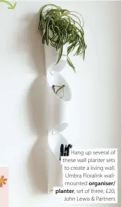  ??  ?? Hang up several of these wall planter sets to create a living wall. Umbra Floralink wallmounte­d organiser/ planter, set of three, £20, John Lewis & Partners