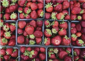  ??  ?? Conduct a survey to find out whether your strawberri­es and other spring offerings are what your customers truly want and need.