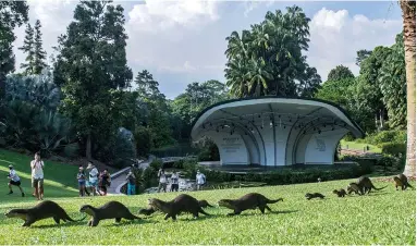 ?? ?? ABOVE: Otters in Singapore Botanic Gardens, where a group of 20 of them “went crazy” and attacked Graham Spencer. BELOW: One of the Majalgaon monkeys makes off with a puppy as part of a revenge campaign against local dogs