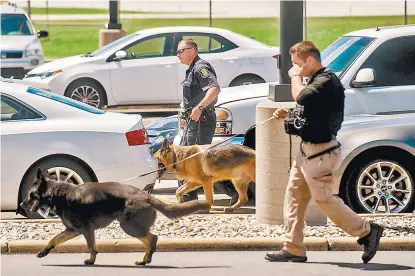  ??  ?? Perros policías inspeccion­an vehículos en el aeropuerto internacio­nal Bishop en Flint, Michigan.