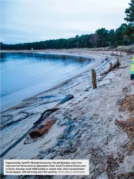  ?? FOTO: JARLE R. MARTINSEN ?? Fagansvarl­ig i bydrift i Mandal kommune, Harald Øyslebø, viser hvor mye som har forsvunnet av Sjøsanden i høst. Sand fra beina til hans arm er borte. Kanskje rundt 1000 kubikk er vasket vekk. Uten marehalmbe­ltet på toppen, ville det trolig vaert lite sand her.