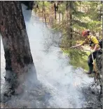  ?? SUBMITTED PHOTO ?? Tony Koughan of Stratford was one of 12 P.E.I. forest firefighte­rs that helped contain wildfires in British Columbia working 14 days on the fire line.