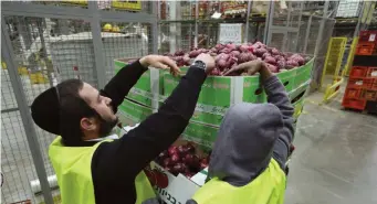  ?? (Yaakov Naumi/Flash90) ?? A MASHGIACH checks vegetables in keeping with kashrut laws.