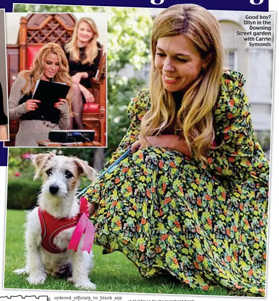  ??  ?? Good boy? Dilyn in the Downing Street garden with Carrie Symonds