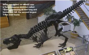  ??  ?? When we visited, on exhibit was a Tyrannosau­rus skeleton called “Stan”, measuring 40 feet long and twelve feet tall, the second largest T-Rex ever found.