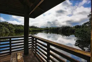  ?? PHOTOS BY RICHARD GRAULICH / THE PALM BEACH POST ?? The Frenchman’s Forest Natural Area in Palm Beach Gardens, a county preserve, was secured largely with money from bond referendum votes of 1991 and 1999.