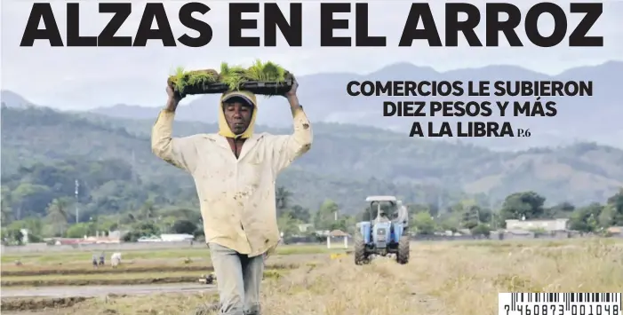  ??  ?? Un hombre camina por un área sembrada de arroz, producto que en los colmados se vende entre 30 y 45 pesos la libra. El ministro de Agricultur­a, Limber Cruz, desautoriz­ó ayer esas
alzas en el precio del cereal, tras afirmar que hay suficiente producción para abastecer el mercado local y que el país tendrá la mejor cosecha de los últimos 10 años.