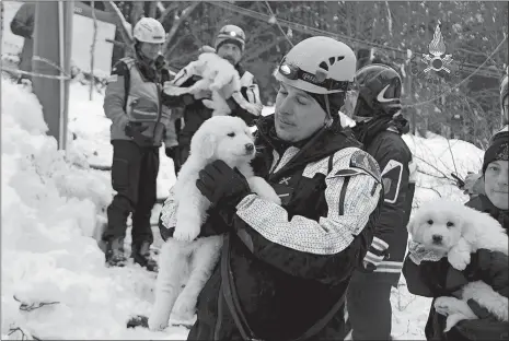  ?? ITALIAN FIREFIGHTE­RS VIA AP ?? Firefighte­rs hold three puppies that were found alive in the rubble of the avalanche-hit Hotel Rigopiano, near Farindola, central Italy, Monday.