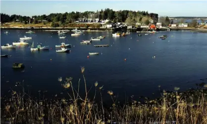  ?? Photograph: Pat Wellenbach/AP ?? Lobster boats at Bailey Island, Maine. White shark activity has been on the increase in the north-east, as seal population­s have grown.