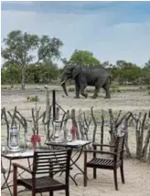  ?? ?? With a busy waterhole nearby, guests can enjoy a parade of passing wildlife.