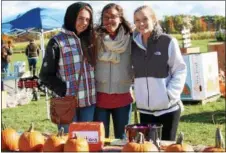  ?? PHOTO PROVIDED ?? The Ballston Spa Central School District’s annual Fall Family Festival will take place Saturday at Ellms Family Farm.