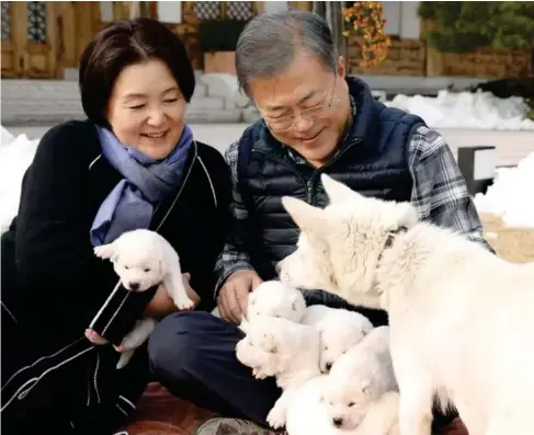  ?? (South Korean Presidenti­al Office/ Reuters) ?? The former South Korean president with two puppies gifted by Kim Jong - un