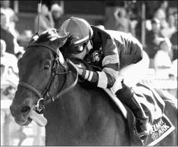  ?? BARBARA D. LIVINGSTON ?? Diversify earned a career-best Beyer Speed Figure of 110 for his 6 1/2-length Suburban victory at Belmont last time out.